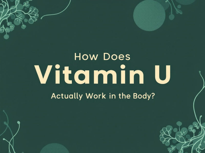 How Does Vitamin U Actually Work in the Body?